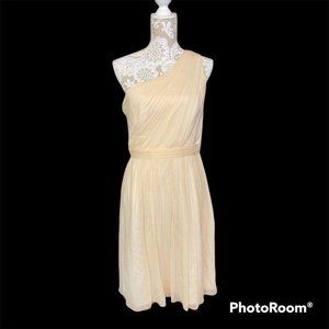 J Crew Silk Chiffon Crepe Kylie Dress Ivory Bridesmaid Size 10 Tall D3